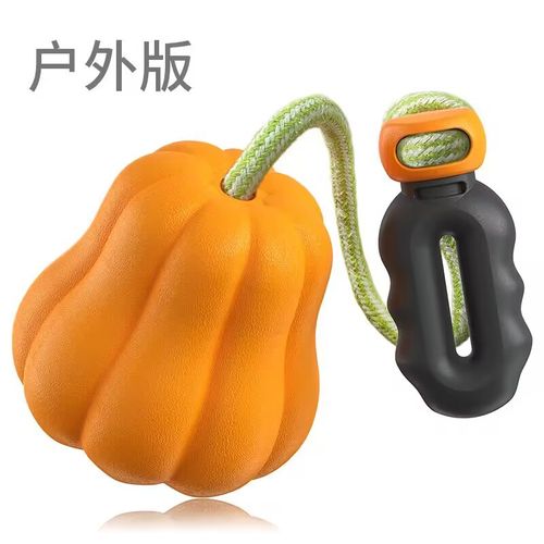 宠物用品工厂家批发公司新爆款亚马逊发声磨牙棒狗咬胶训练狗玩具批发